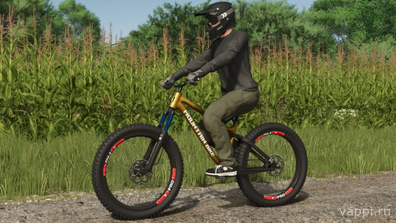 Lizard Mountain Bike